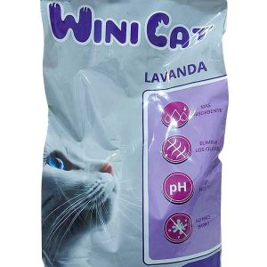 WINI CAT