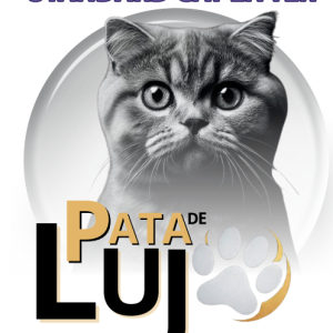 Arena de BENTONITA para gatos - PATA DE LUJO